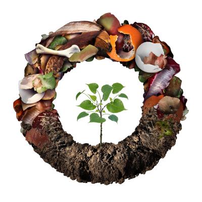 DOCTERRA