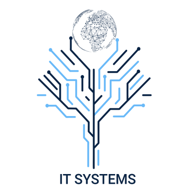 IT SYSTEMS